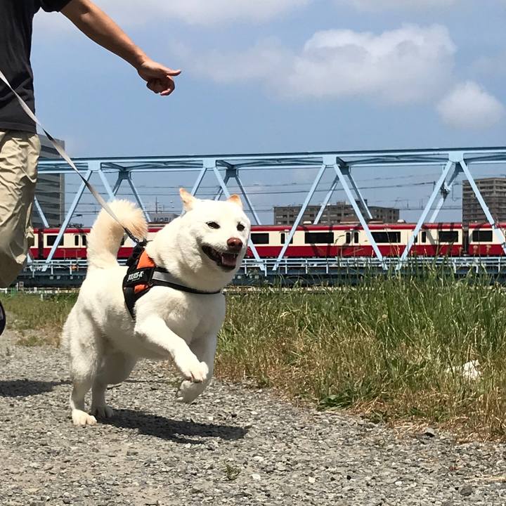 81cb160f 755f 46c6 8746 9e4c57aa6383 1530409222815