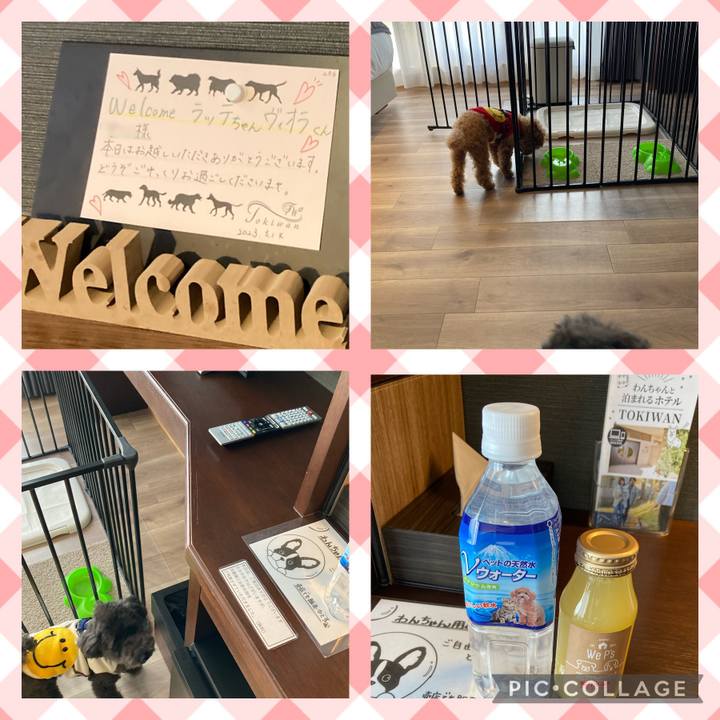 81cb5dd8 76b7 45b8 bb6e d4401c0466b0 1679139927949