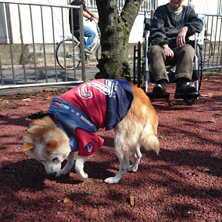 81cb7745 f6d6 4284 b972 ad249b554982 1507519353923