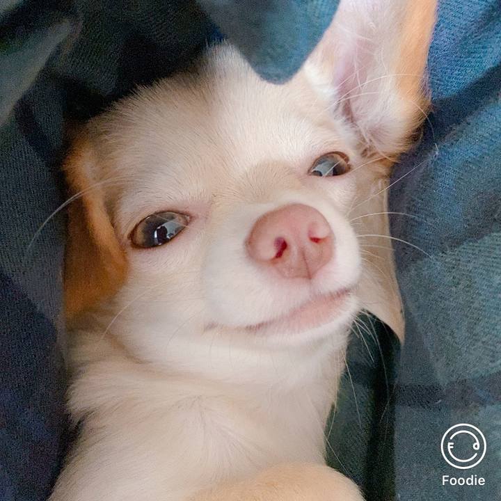 81cbb621 64b4 4744 a457 dace5e99e7be 1598410975710