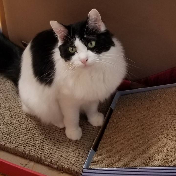 81cbea98 48f1 4c78 a78a 8958950b46b4 1586475385322