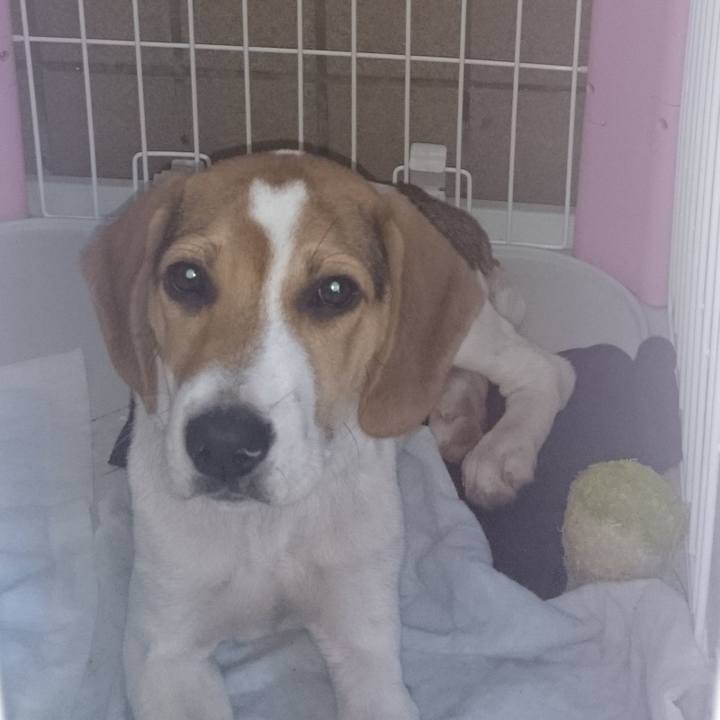 81cbeaf5 d330 4217 98dc c6fbebe61d3e 1567086438832