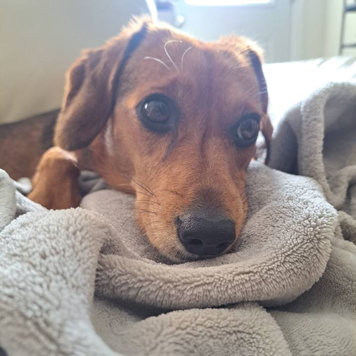 81cbf591 c731 416a 89c1 69f3b294d766 1759459178765