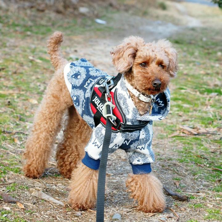 81cbfccb 2614 4f11 b6c0 8aeb30371c58 1520330541123