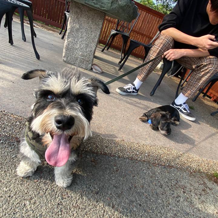 81cc000f b433 4d62 be5a 82d0a2a1da44 1588427477082