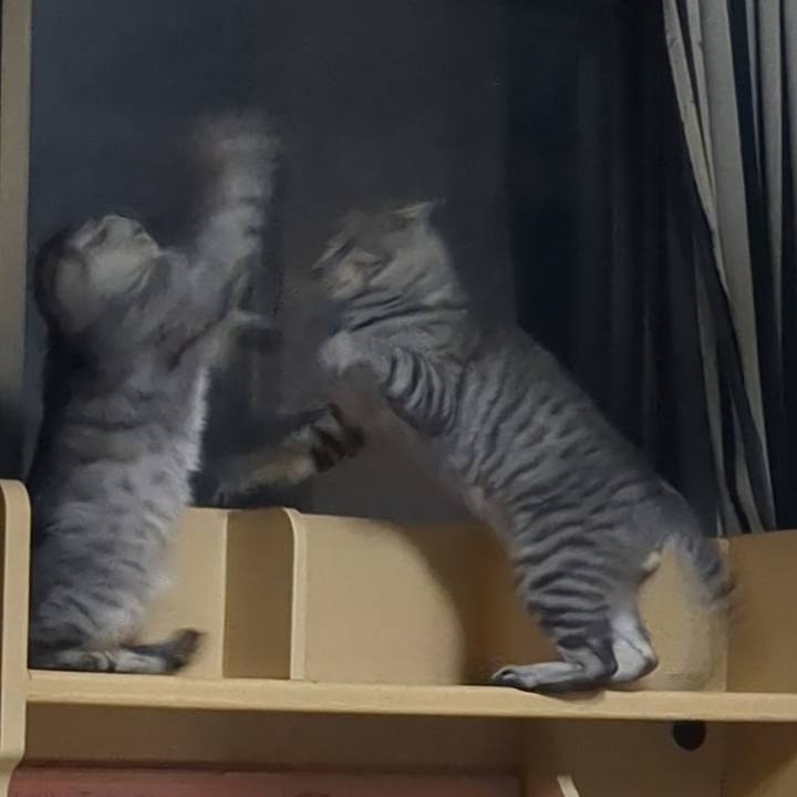 81cc001a c991 458d a723 5bf2331785a6 1708685452840