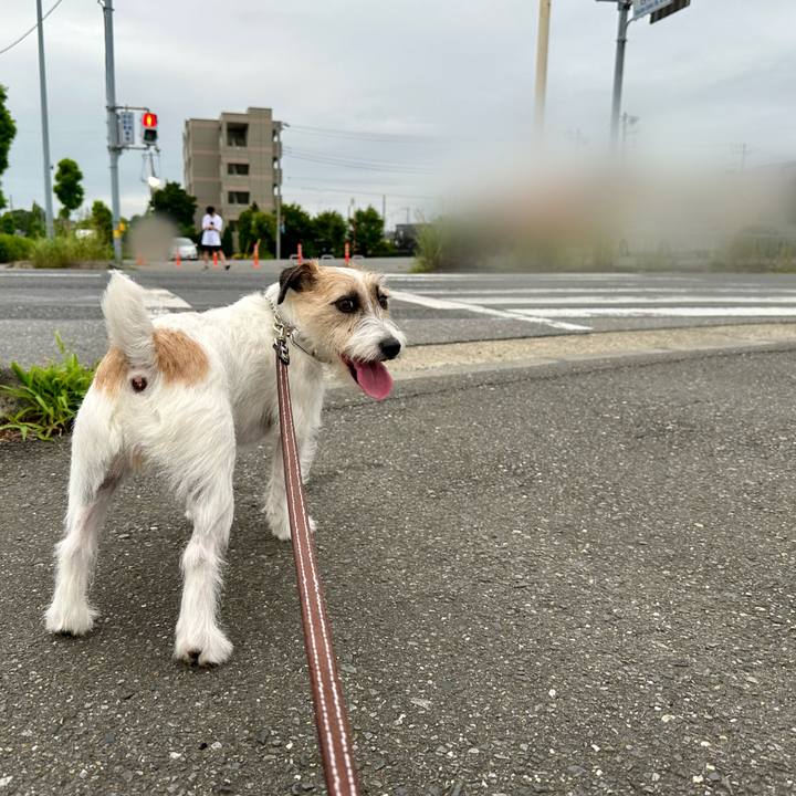 81cc0e89 eb33 4f9e 9896 853edc7d36d3 1721042546188