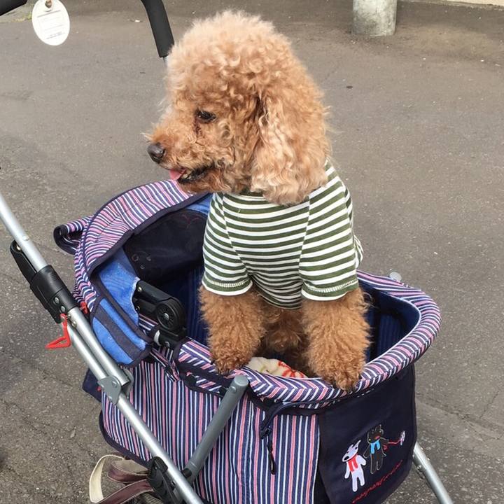 81cc1f10 6098 4b72 bbbc cdf04b462a46 1565531940918