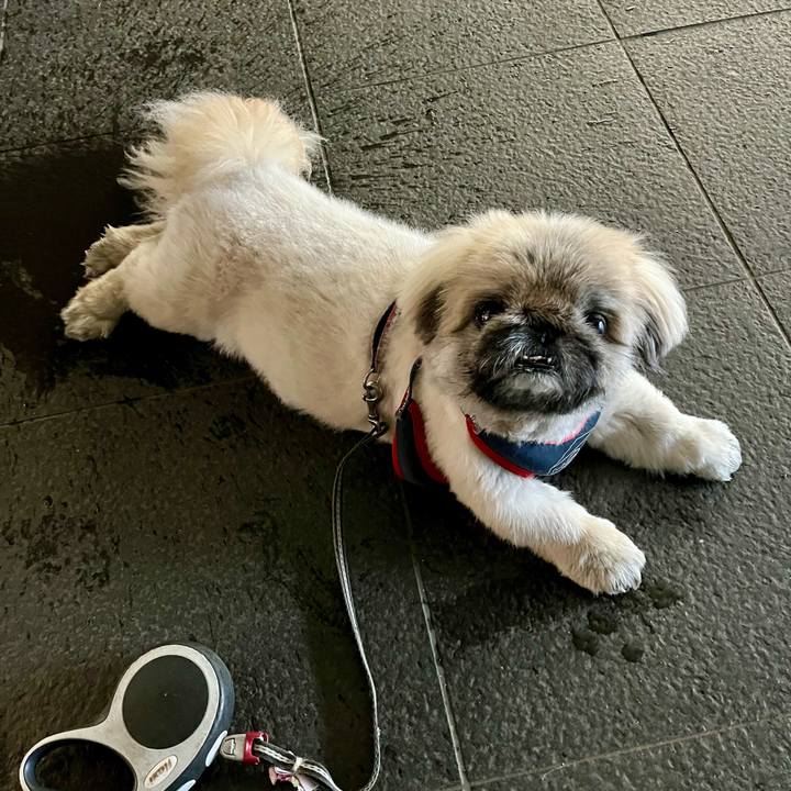 81cc2ce9 e0db 46a2 aacb f09bbbe59d3a 1745745207304