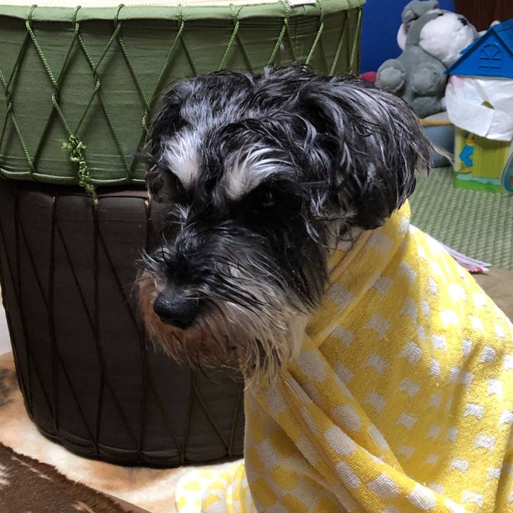 81cc432a b9e3 47d8 853c bb3d424628db 1550280277158