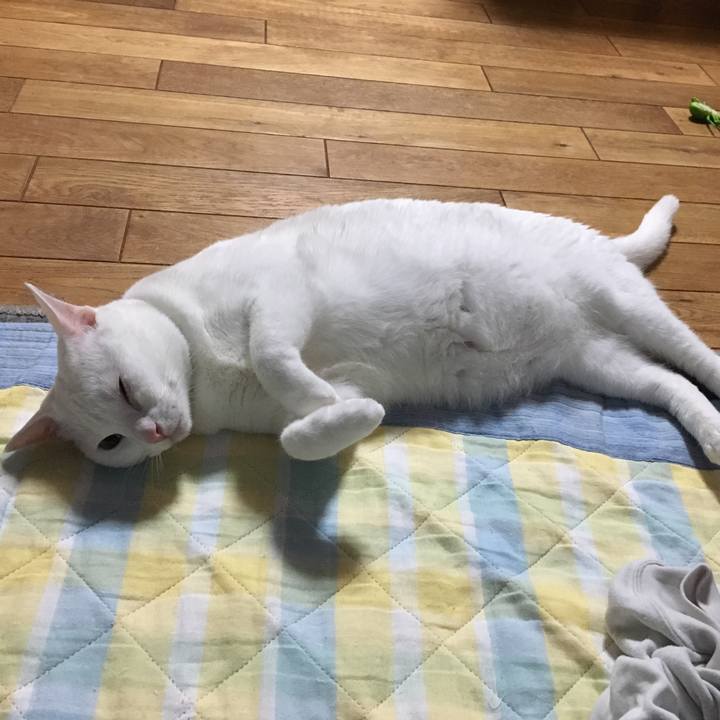 81ccc7f6 8834 4ea3 b423 2ab882f799dc 1529701026683