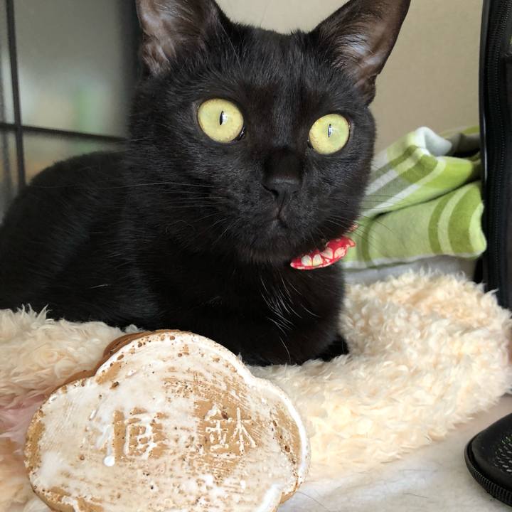 81cceb42 ba2c 43f8 bbd5 addcf3b2049b 1525387656560