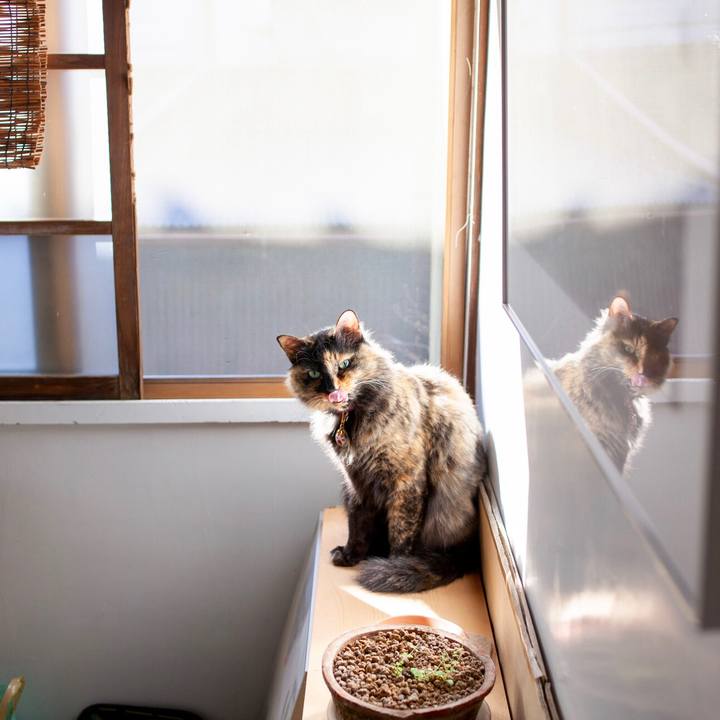 81cdb67c 8929 4e67 b4dd 9705e69c8831 1605162731274