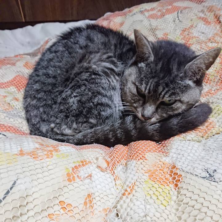 81cdbc08 28d6 4eff a1d3 2cf58e01c127 1581508059132