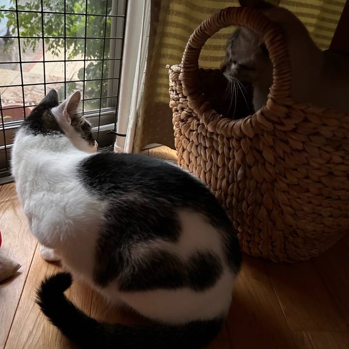 81cded13 f145 4582 9a0b 63b6d757f9fc 1750627412368