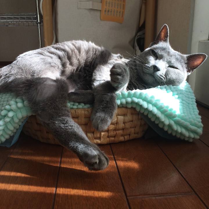 81ce0500 bcd7 4117 bda8 88f324659025 1515901789757