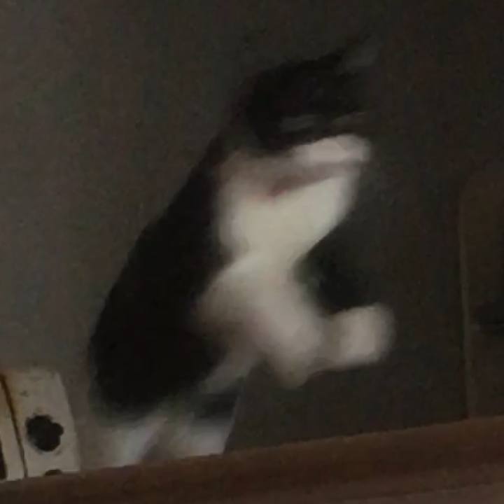 81ce17a6 4a31 44ad 97e2 24b8f001729b 1550801451237