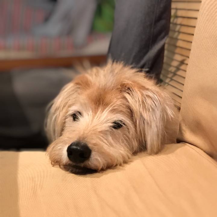 81ce18b9 1a7b 489f b55d 4093e407c035 1573714783160