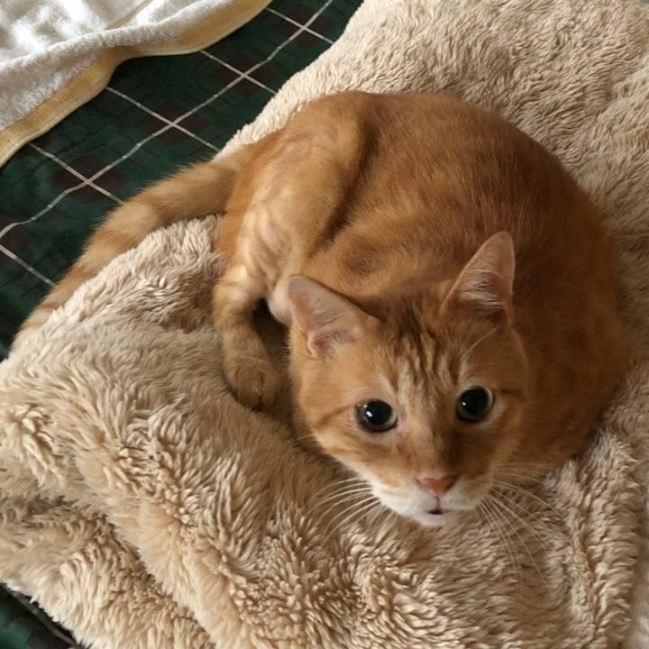 81ce4a0f ce66 4422 9ac8 69f385b861d8 1693559292075