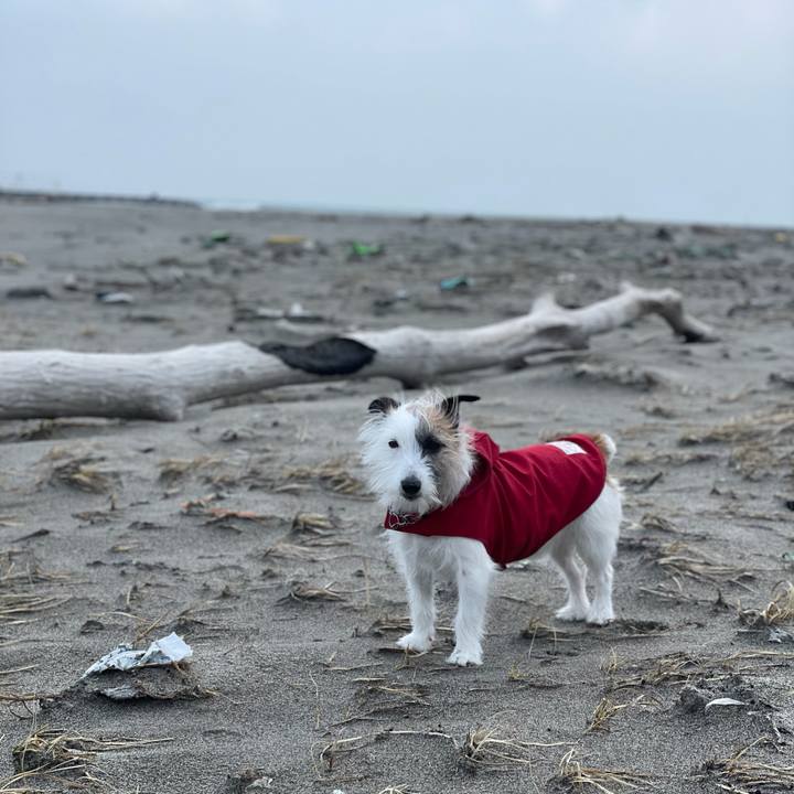 81ce77b8 bd97 410d a6ac cf3b26ca5cfb 1613865294014