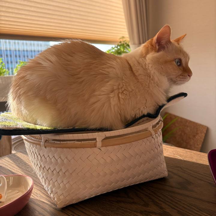 81cf0787 50bc 4b96 b884 ba8291b16016 1776744445001