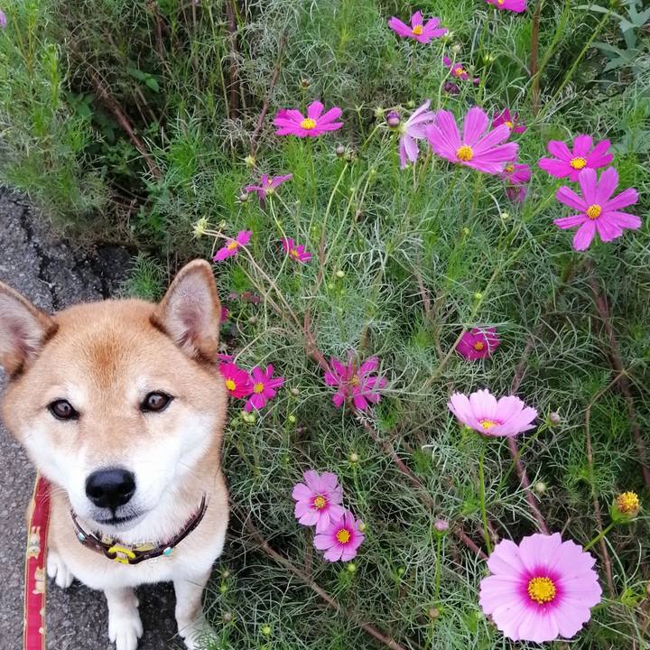 81cf1239 7dad 42f0 8724 7593617614c8 1600930377313