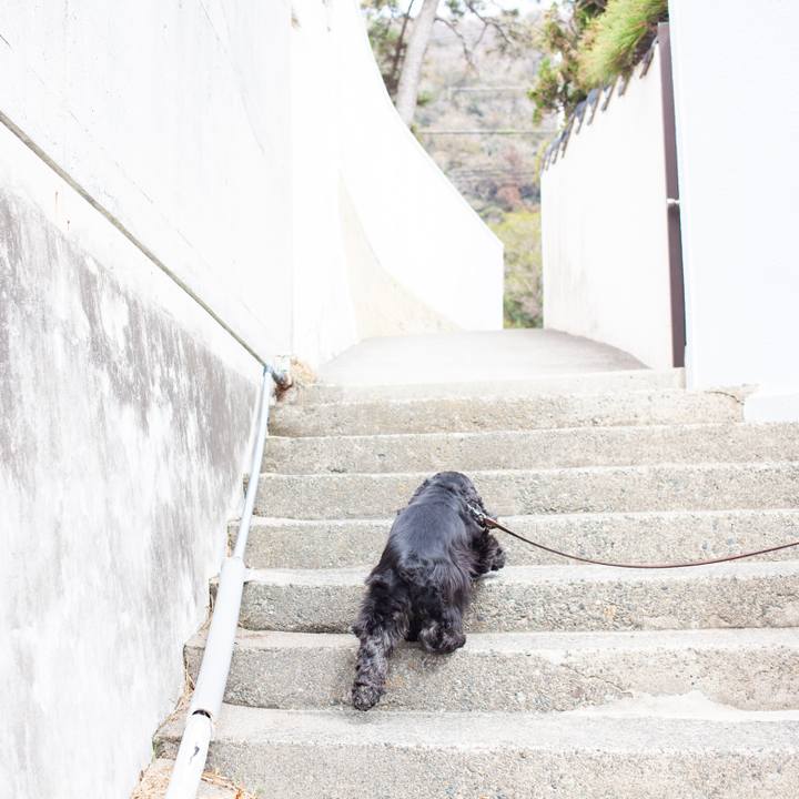 81cf137f 6cfd 49d5 8300 cc65642bf258 1550850413481