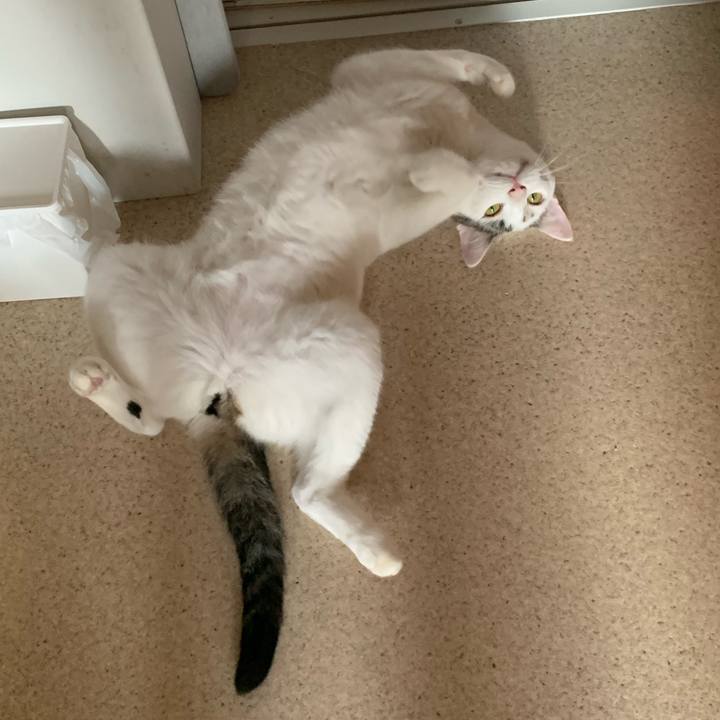 81cf2b3d cd85 49c5 81cd 2931c35d8bb4 1623734838509