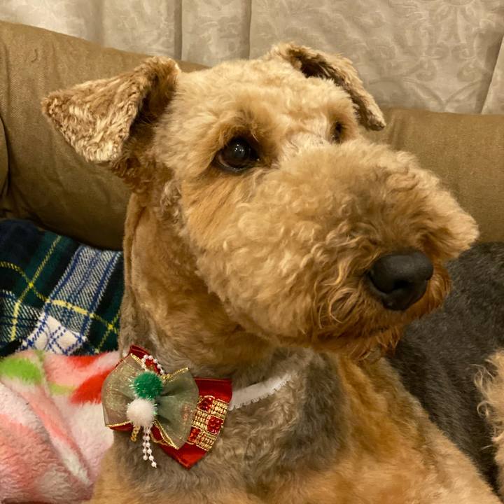 81cf38f2 83c5 44e8 ab47 b6df78dd4f80 1577105901590