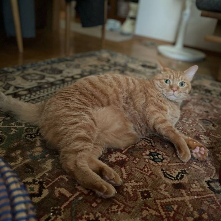 81cf52af 5824 4179 a17b 294df86a18bf 1690626662159