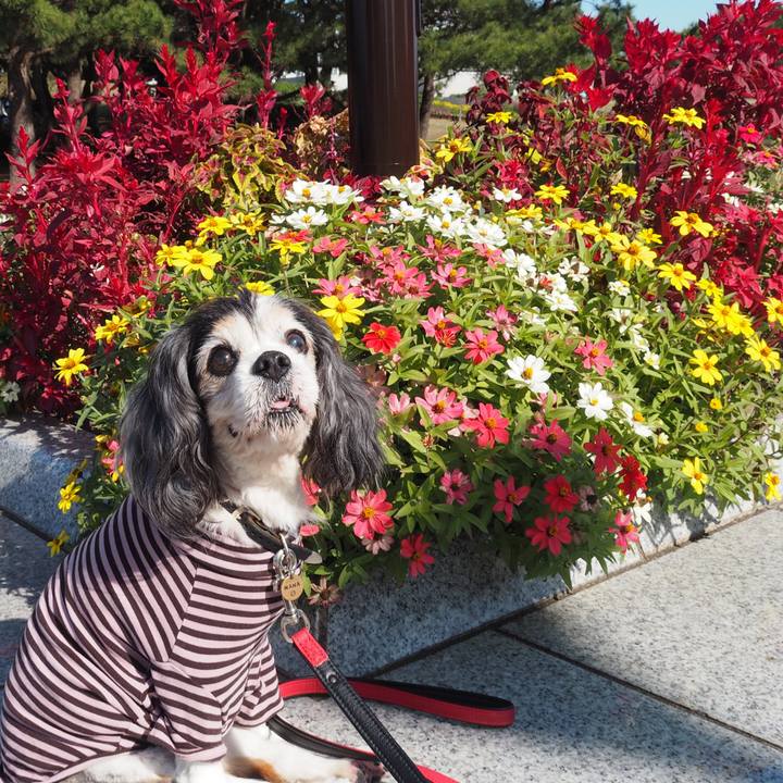 81cf5f75 e031 44dd 8959 798db5610d4c 1604117611614