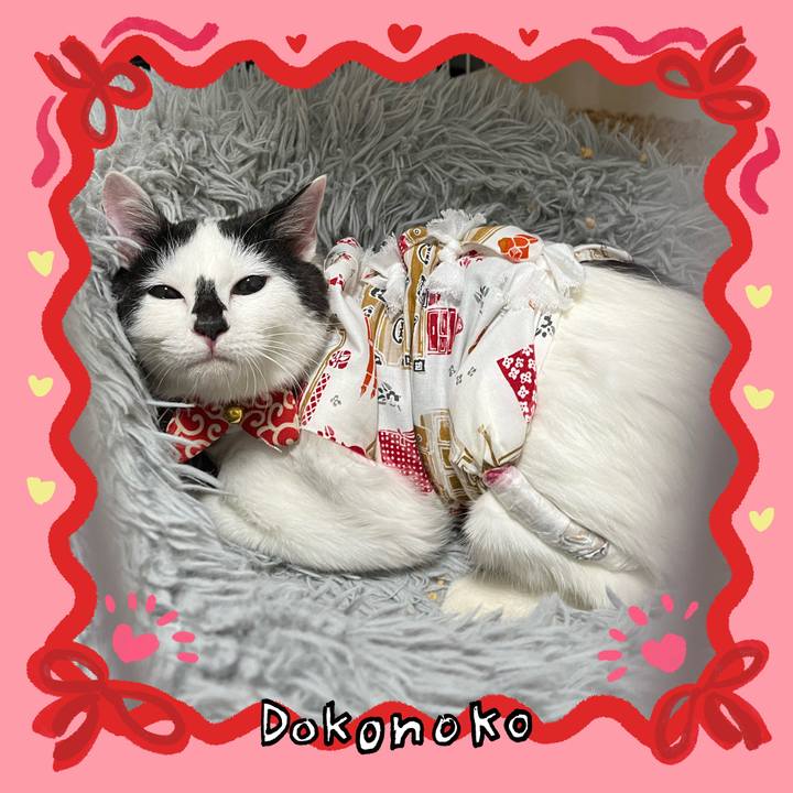 81cf6ebd c9c9 4d67 8ea9 af8ad374350b 1707025252167