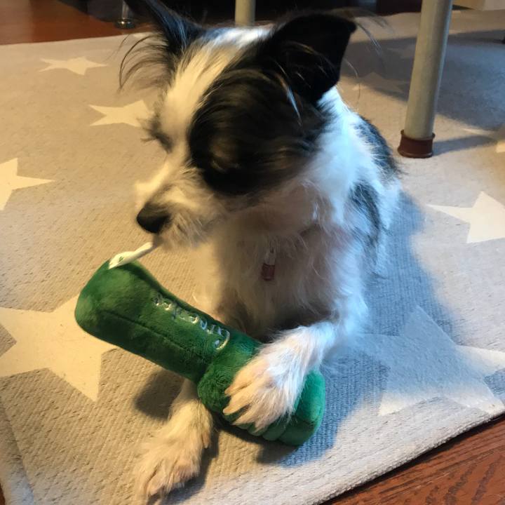 81cf79b3 3340 4956 a627 06fb3f094491 1546650055889