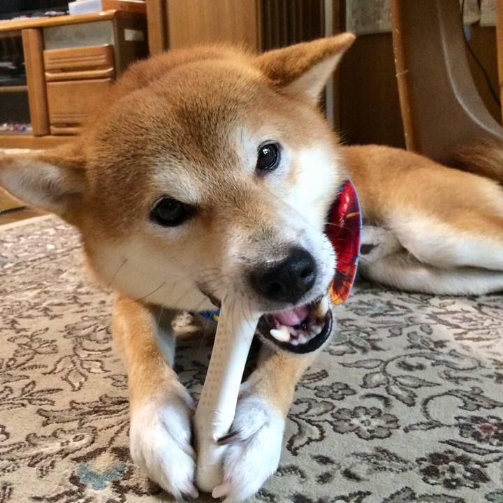 81cf82a3 6681 4cc9 a684 263343a9294e 1509258515567