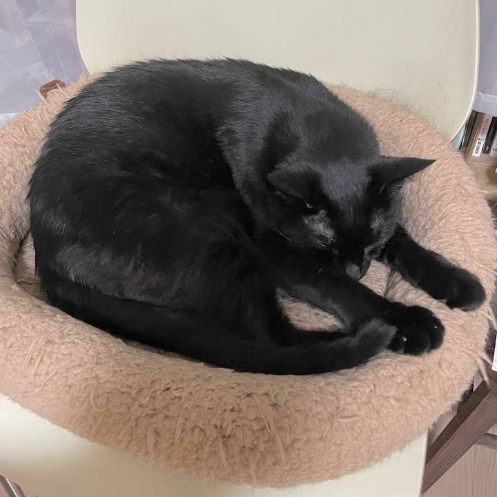 81cf8362 380d 4d48 a947 98e6408eac95 1658067233970