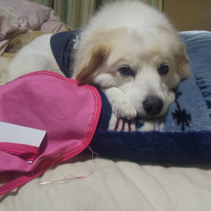 81cf8993 0b6f 4d9d 8e00 3427b64967e5 1638537445715