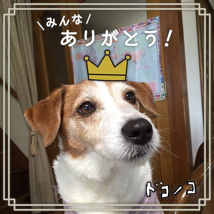 81cfac35 0962 4aac 863a 842a610dfb9f 1623424005779