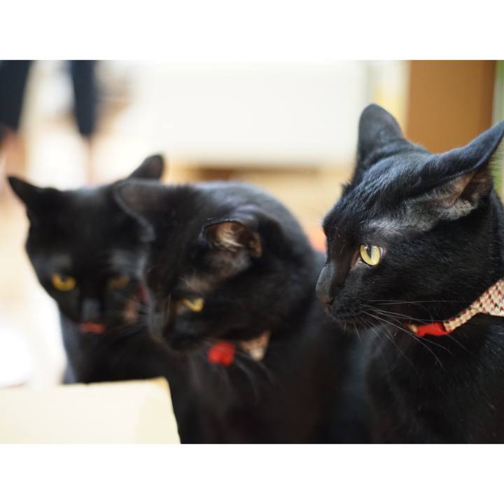 81cfb06c dc42 4569 95c1 bb6f3f72eb5e 1527298360846