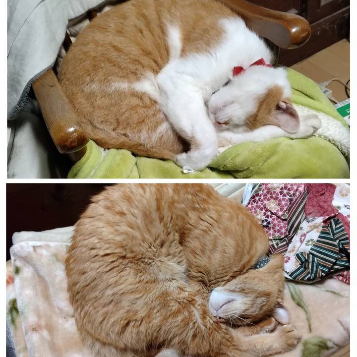 81cfec6b d27d 48e9 9b48 ee4d82f39c60 1761650330114