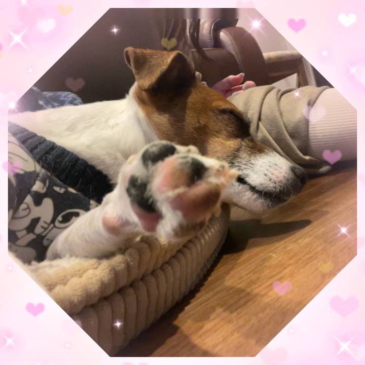 81cffa24 af5a 4538 8e94 b1988bb42063 1738572016077