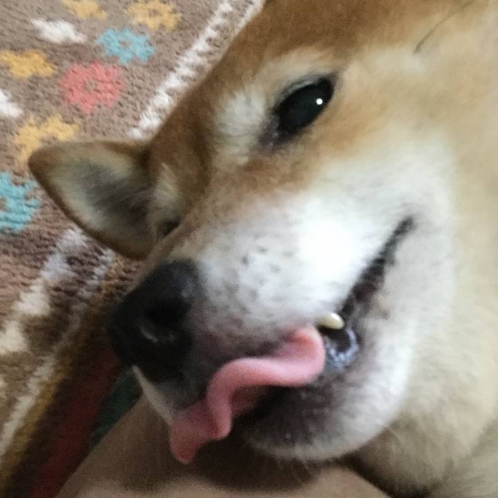 81d02250 980b 4ec8 99da db4396251afd 1563281515625