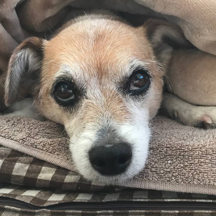 81d04c0e 9527 4015 84c1 2e7a3e9ce8f8 1642636803968