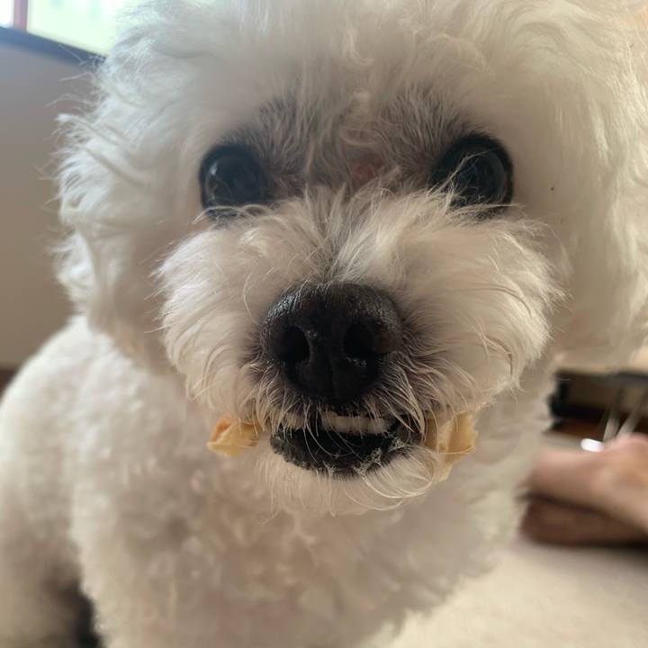 81d0525f 9ab5 416c 8165 50b335e50d1f 1698839563034