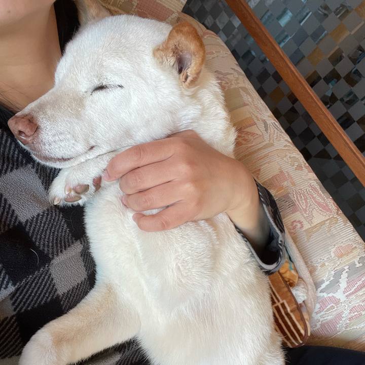 81d0da2c 8d20 4df3 9676 9a2f30681b7f 1641268574286