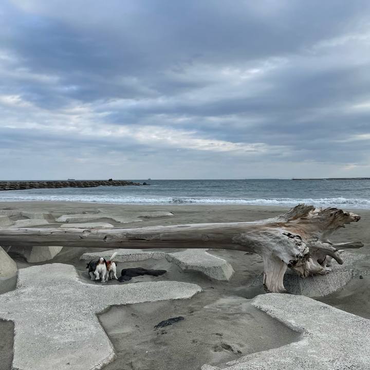 81d10a20 30d3 4af1 bafc 0ca08e26de93 1679008191742