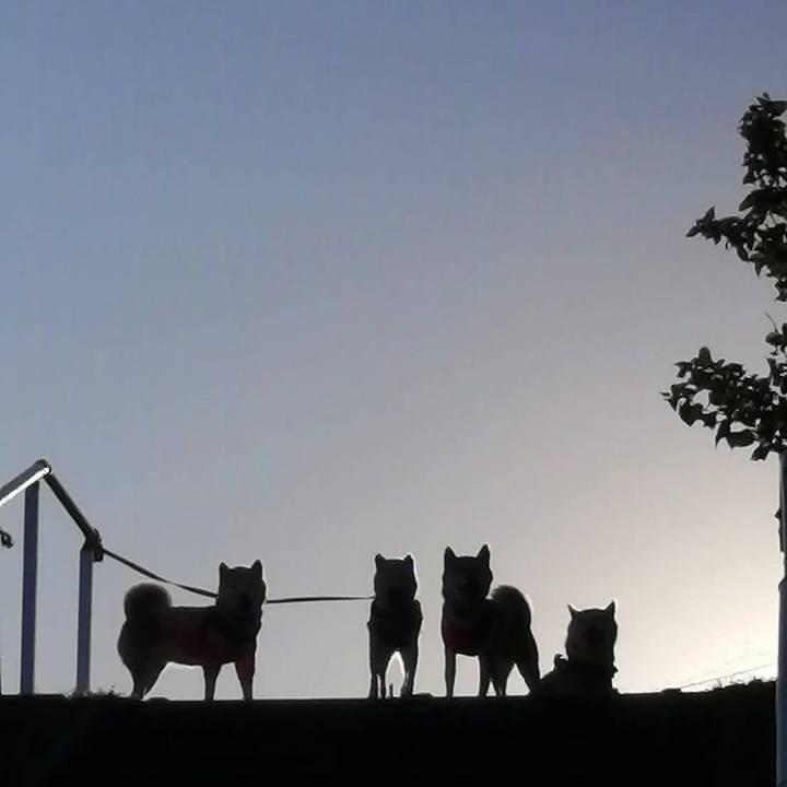 81d148f1 288c 45dd a6e6 b4625e488021 1728877830535