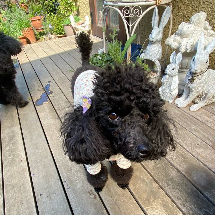 81d14cd6 8b1a 437f b35a 03d537b1ebe6 1585985622237