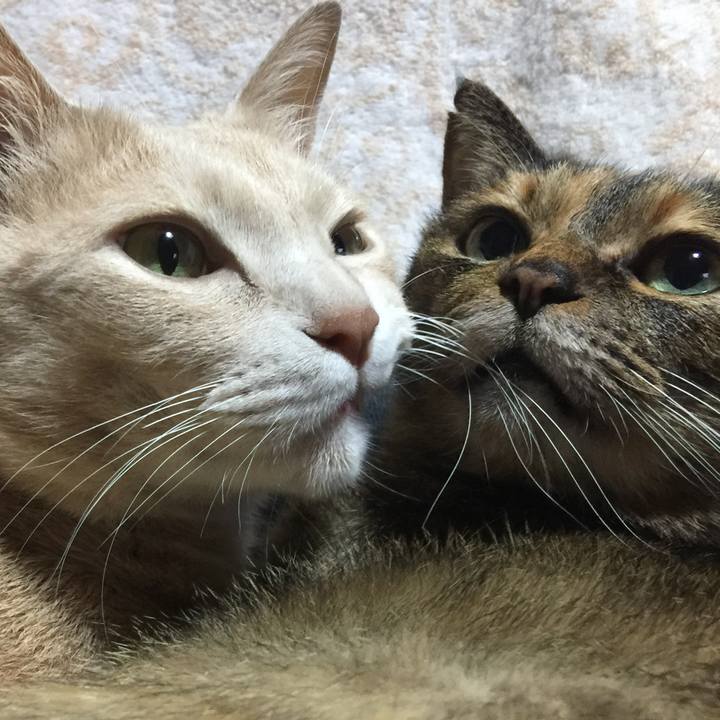 81d16ec3 a7cc 4bfb a416 8c60e6c9b8bc 1557902112458