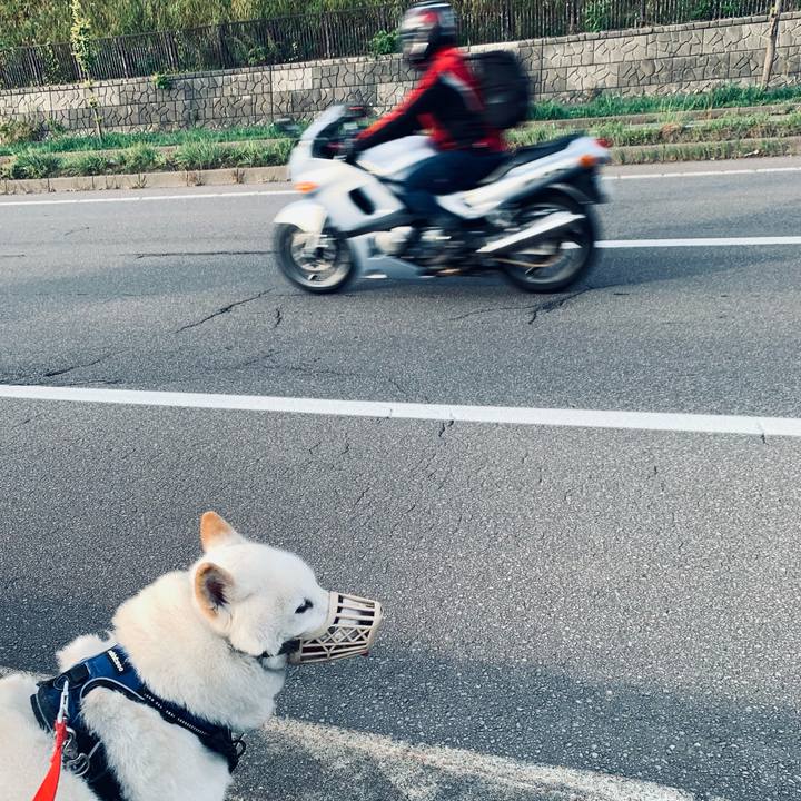 81d171f2 103c 41d6 83bf d3d28251e9dd 1632783128499