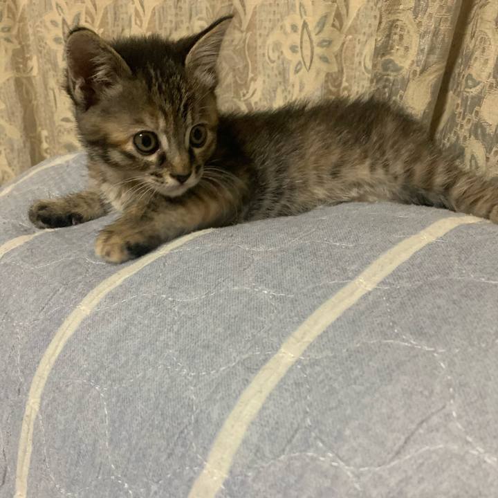 81d177ee 6ece 4677 b275 8b678a7f3339 1589985043744